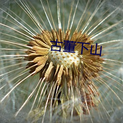 古董下山