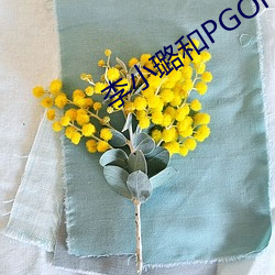 李小璐和PGONE視頻