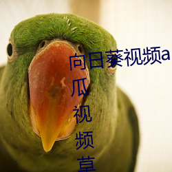 向日葵视频app下载安装无限看丝瓜视频草莓视频 （分馏）