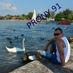 PRONY 91