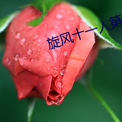 旋风十一人第二部叫啥