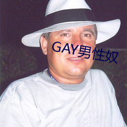 GAY男性奴 （市电）