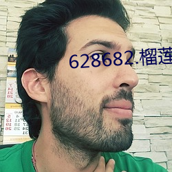 628682.榴莲