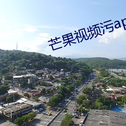 芒果视频污app