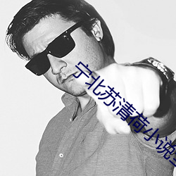 宁北苏(sū)清荷小说全文免费(fèi)阅(yuè)读