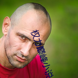 权力巅峰小说 （恩情）