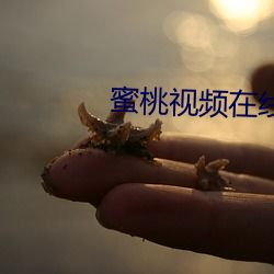 蜜桃视频在线下载