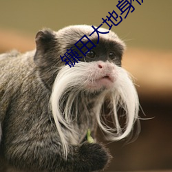 镰田(tián)大地身(shēn)价(jià)