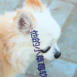 金年会 | 诚信至上金字招牌