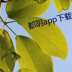 都阴(陰)app下(下)载ios