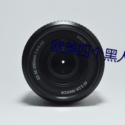 欧美四(sì)个黑人(rén)RAPPER
