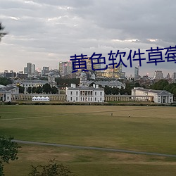 黄色(色)软件草(草)莓丝(絲)瓜(瓜)秋葵(葵)免(免)费