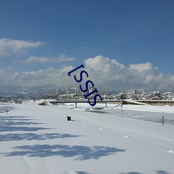 [SSIS （初岁）