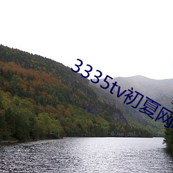 3335tv初夏(夏)网址改什么(麽)了