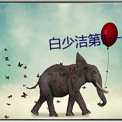 白少洁第1一40章