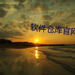 軟件倉庫官網