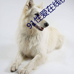 91性爱在线视(視)频