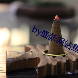 by最新网站是什么