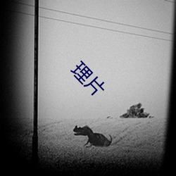 理(lǐ)片