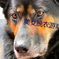 美女(nǚ)脱(tuō)衣游戏