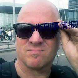 cib刑事情报科