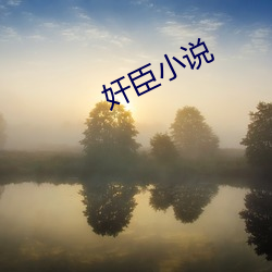 奸臣小(小)说