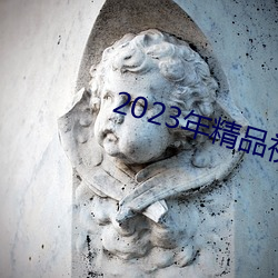 2023年精品(品)视频