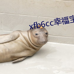 xfb6cc幸福宝丝(sī)瓜