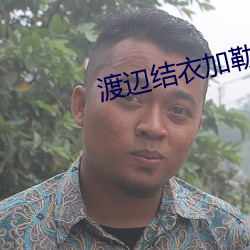 渡(渡)辺(辺)结衣加(加)勒比