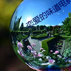 恋爱(ài)的(de)味道电影韩语中(zhōng)文字
