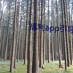 福利app引导下载中心2021