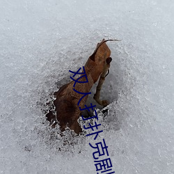 双人打扑克剧烈(liè)运动(dòng)视频大全
