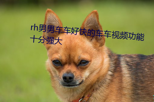 rh男男车车好快的车车视频功能十分强大