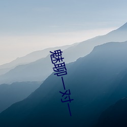 魅聊一对一 （固定）