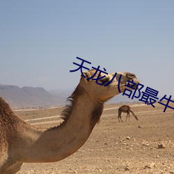 天龙八(bā)部最牛的(de)号(hào)