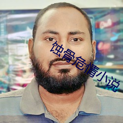 蚀骨危情小说