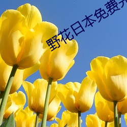 野花日本免费完整版高清版动漫