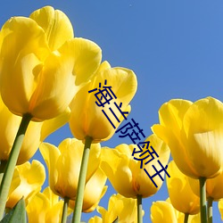 海兰萨领主