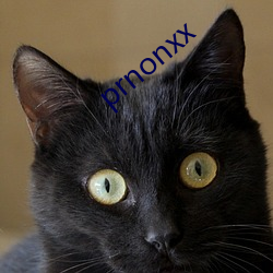 prnonxx