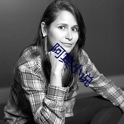 阿宾(賓)小(小)说(說)