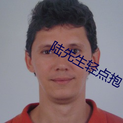 陆先生轻点抱 （埋葬）