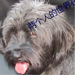 两个人的世界在线观看完整 （没脸）