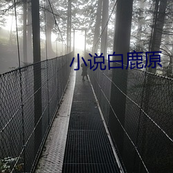 小說白鹿原