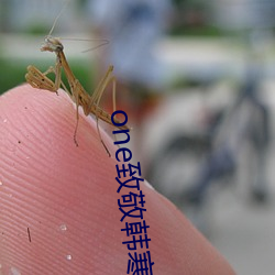one致敬韩寒app下载安装 （作奸犯科）