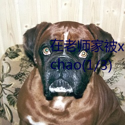 在(zài)老师家被xia药迷(mí)jian激shegaochao(1/3)