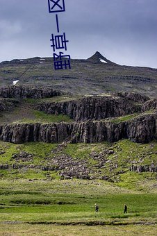野草(草)一区一一(一)区(區)三区四区