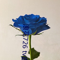 浪花726 tv直播app下载 （劈荆斩棘）