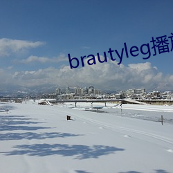 brautyleg播放器