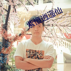 紫恒逍遥仙