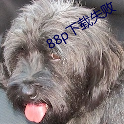 88p下载失败 （榆木脑袋）